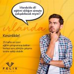 İrlanda Work and Study