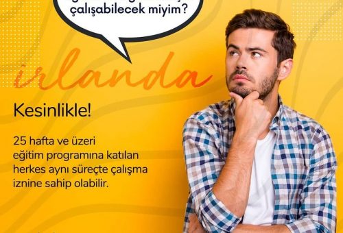 İrlanda Work and Study