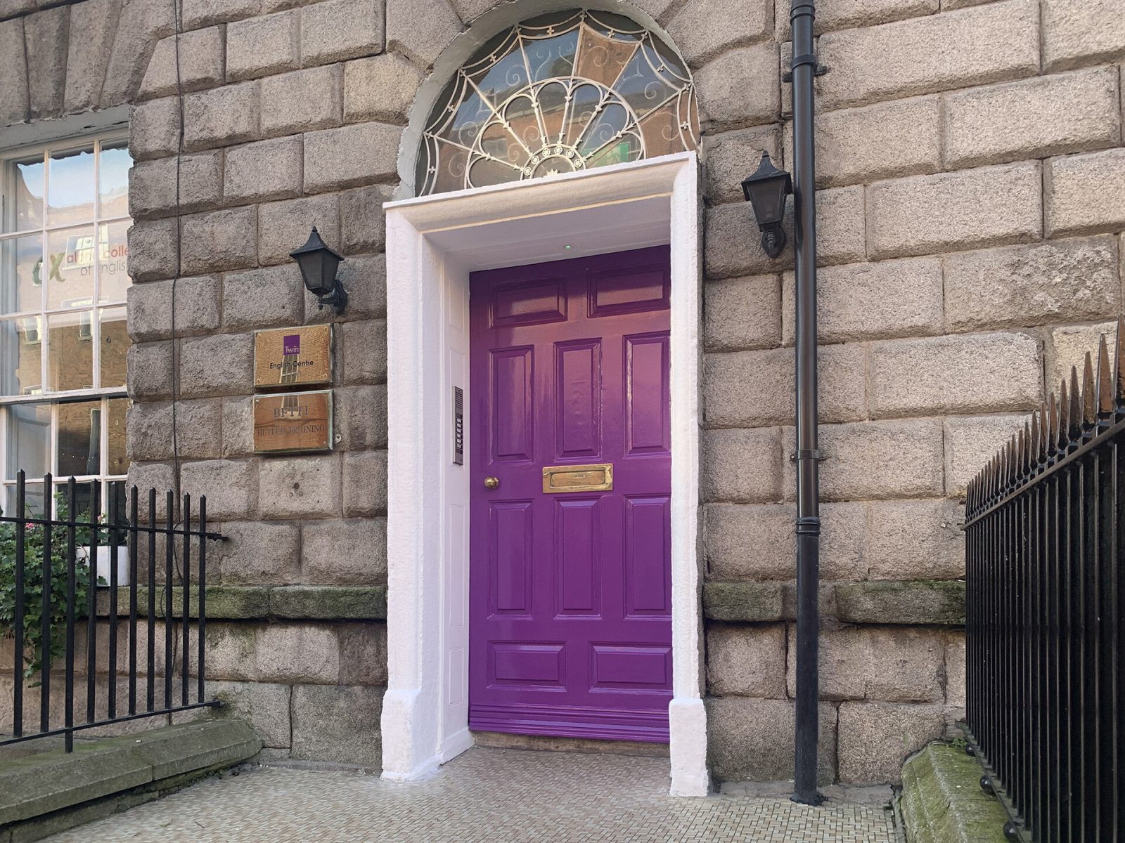 Twin İrlanda dil okulu